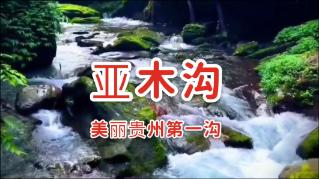 苏菲亚和安伯的休闲装